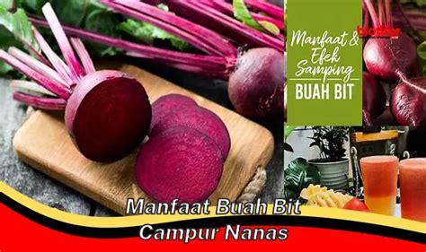 Temukan Manfaat Buah Bit Campur Nanas Yang Jarang Diketahui Biotifor