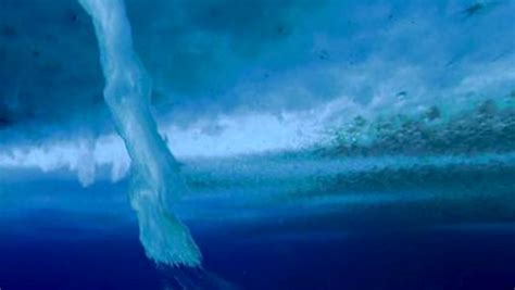 Video: Filming Underwater 'Icicles of Death' in Antarctica | The World from PRX