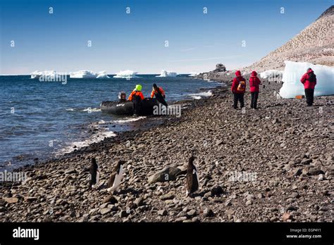 Antarctica Weddell Sea Paulet Island Beach Cruise Ship Passengers