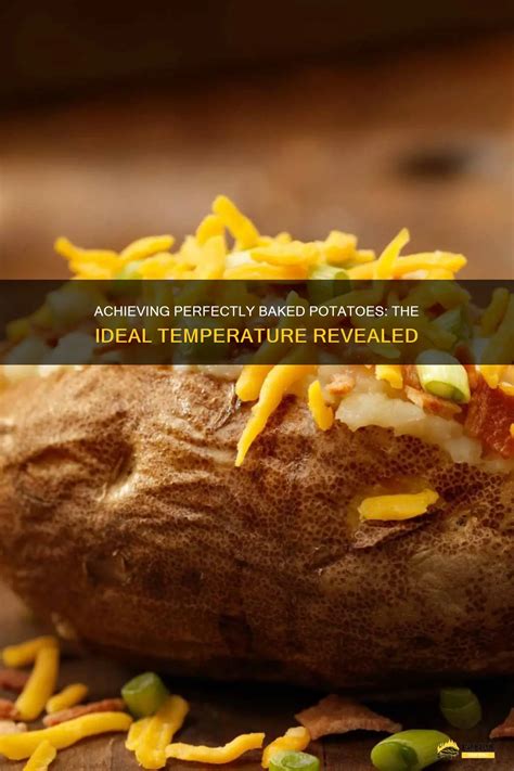 Achieving Perfectly Baked Potatoes The Ideal Temperature Revealed Shungrill