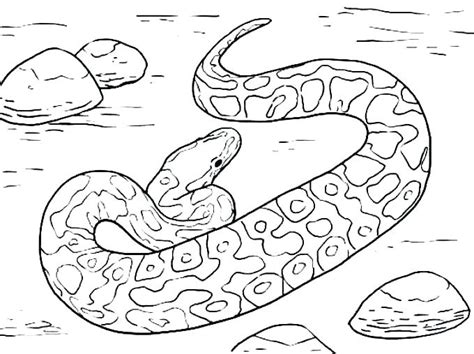 Ninjago Serpentine Coloring Pages At Getdrawings Free Download