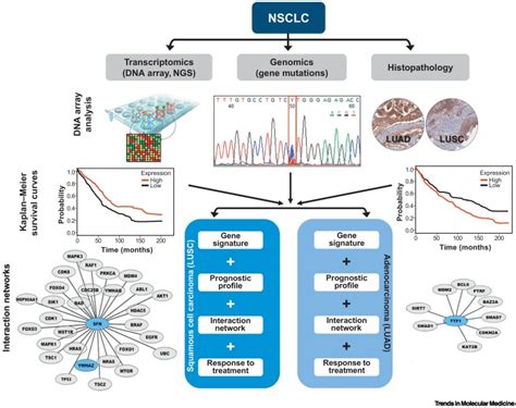 Abandoning The Notion Of Non Small Cell Lung Cancer Trends In