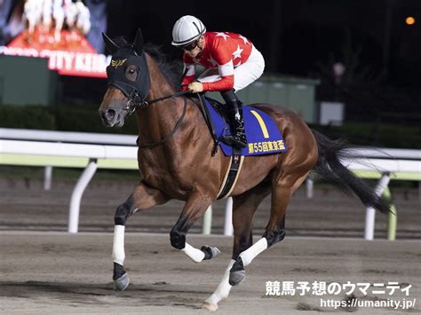 【ズバリ！調教診断最終版】フェブラリーs2022 僅差でレッドルゼルをトップ評価！｜競馬ニュース｜競馬予想のウマニティ