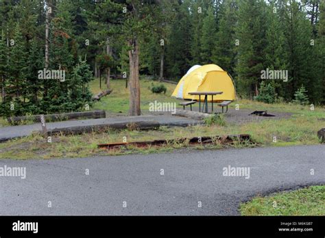 Bridge Bay Campground Site Bridge Bay Campground Site Stock Photo Alamy