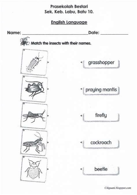 Lembaran Kerja Serangga