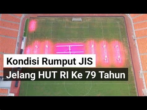 Update Rumput Jis Jelang HUT RI Ke 79 Tahun Rumput Semakin Baik