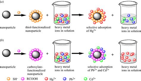 Selective Adsorption Of Heavy Metal Ions In A Solution Based On The