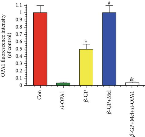 Melatonin Reduced β Gp Induced Calcium Deposition Via Opa1 In Vsmcs