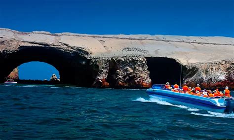 Full Day Paracas Islas Ballestas Reserva Nacional De Paracas Travel