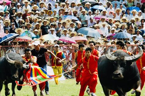 Vẽ tranh chọi trâu - Cách vẽ tranh đẹp và ấn tượng để thu hút người xem ...