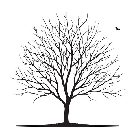 Minimal Autumn Naked Tree Vector Silhouette 36286005 Vector Art At Vecteezy