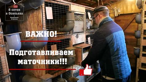 Как правильно подготовить маточник к окролу крольчихи в холодное время ...