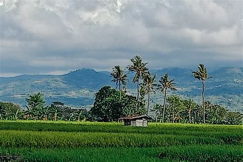 Lasepang Kampung Bugis Di Tanah Makassar