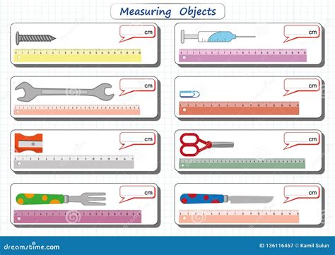 Longitud De Medición De Los Objetos Con La Regla Hoja De Trabajo Para