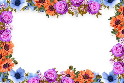 Colorful Flower Borders And Frames