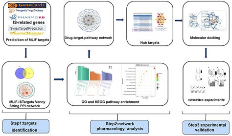 Frontiers Network Pharmacology And Molecular Docking Based Analysis