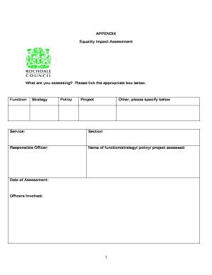 Fillable Online Democracy Rochdale Gov What Are You Assessing