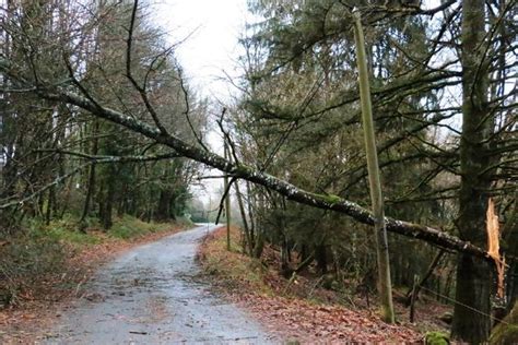 Vents violents en Creuse routes coupées par les arbres lignes