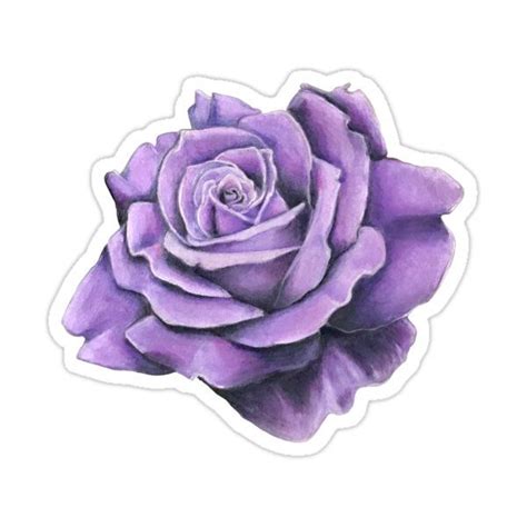 Lavender Rose Sticker For Sale By Shli Scrapbook Stickers Printable