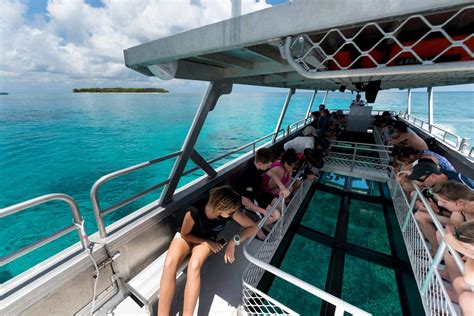 Glass Bottom Boat 6 Lady Musgrave Experience Great Barrier Reef