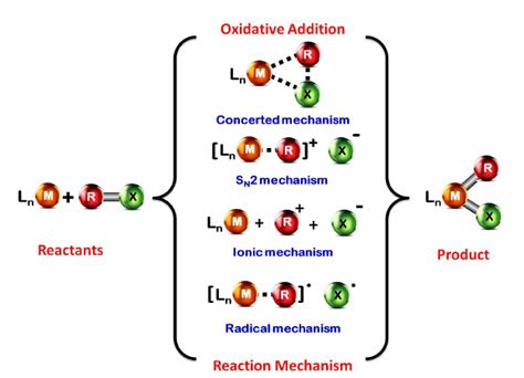 All The Possible Reaction Mechanisms For The Oxidative Addition Of