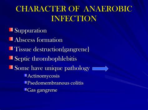 Ppt Anaerobic Bacteria Powerpoint Presentation Free Download Id