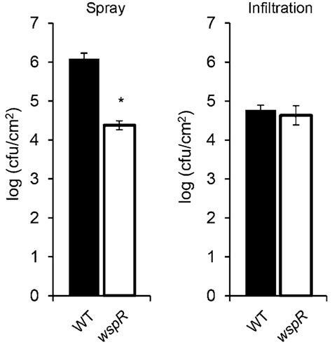 Reduced Reactive Oxygen Species Ros Burst Triggered By Pseudomonas