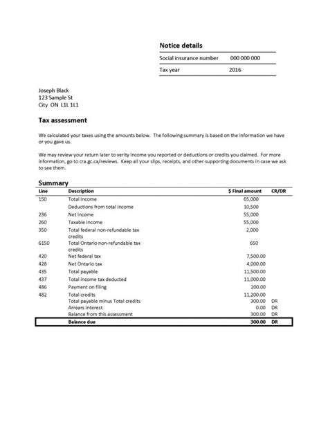 Notice Of Assessment Example Michael Friedman