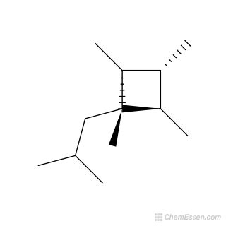 2R 4R 1 2 3 4 Tetramethyl 1 2 Methylpropyl Cyclobutane Structure