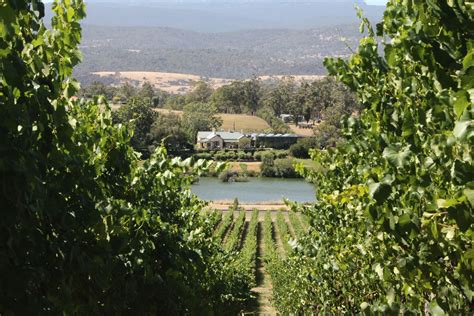 Tasmanias Tamar Valley Wine Country Travel Insider