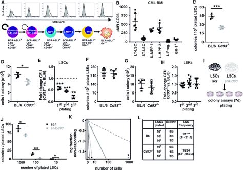 Cd Signaling Regulates Self Renewal Of Lscs In Vitro A And B