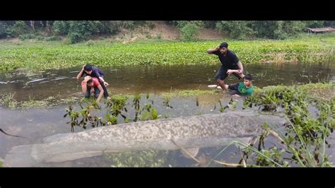 Omg Hand Fishing Video The All Boy Caching Big Fish Side Village Boy In