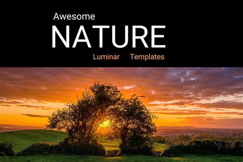 Free Luminar Neo Ai Templates Signature Set • Pixafoto