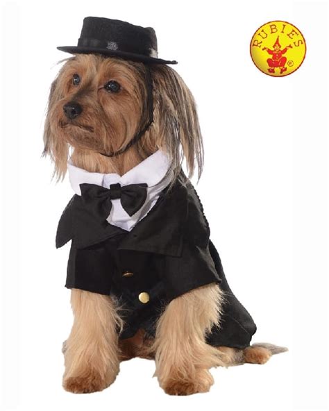 Dapper Dog Big Dog Costume, Pet Costume - The Costumery