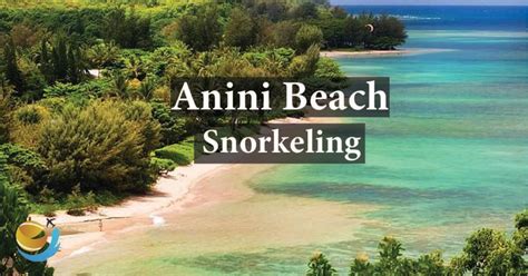 Anini Beach Snorkeling: Complete Guide For Beginners