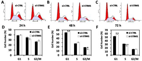 Effect Of Downregulation Of Stim On Cell Cycle Progression In U