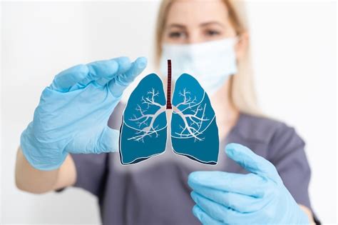 Premium Photo The Doctor Holds The Lungs Organ Symbol Awareness Of