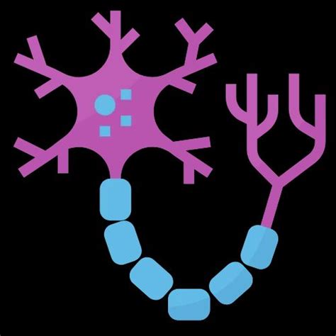 Nerve Conduction Velocity (NCV) Test Services in Lucknow | ID ...