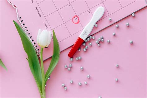 Calculer Sa Date D Ovulation Comprendre Son Cycle Menstruel