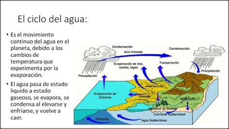 Diapositivas Ciclo Del Agua El Ciclo Del Agua Fases De La Materia Images