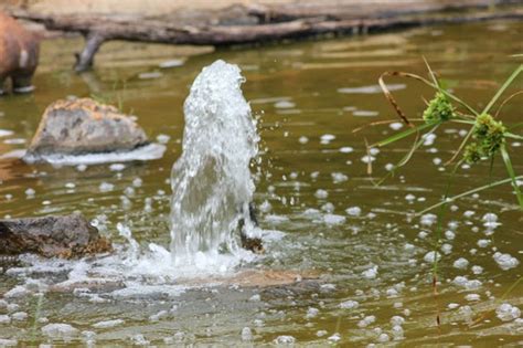 🌿 Tuinmaak In Suid Afrika Waterbesparing In Suid Afrika