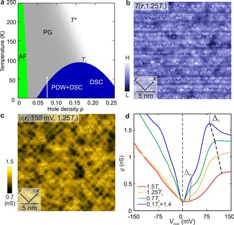 Temperature Dependence Of Cuprate Broken Symmetry States A Schematic