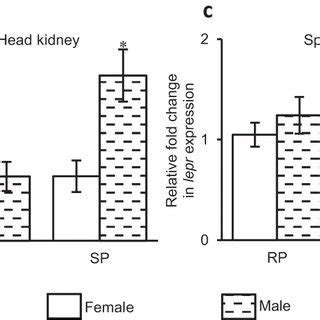 Sex Related Differential Expression Of A B Lep And C D Lepr In