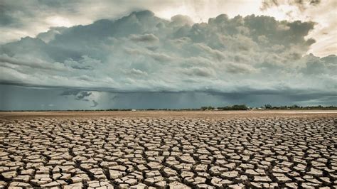 La Crisis Climática Puede Agravar El 58 De Los Virus Y Bacterias Que Nos Hacen Enfermar