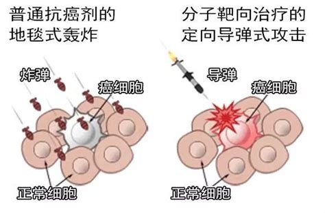 有关乳腺癌的靶向治疗，这些你都掌握了吗？