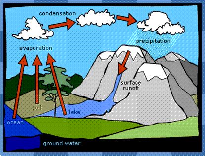 PSLE Physical Science Flashcards Quizlet