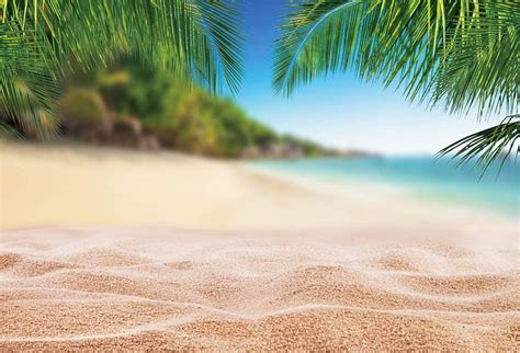 Yeele X Ft Summer Beach Backdrop Vivid Sand Palm Trees And Blur