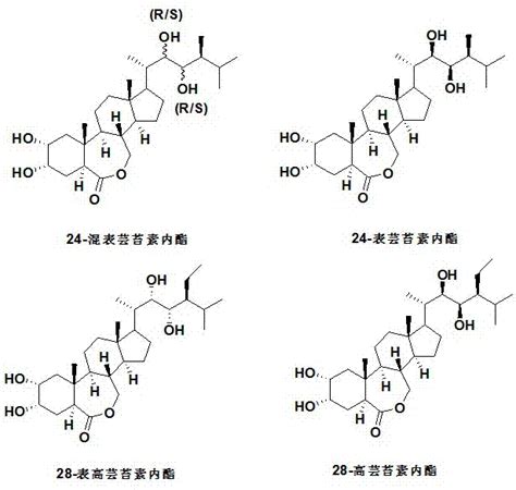 一种三步法合成28 高芸苔素内酯的制备方法与流程