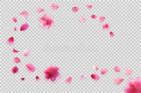 Pink Sakura Petals Heart Frame Isolated On Transparent Png Background