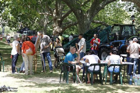 Cultura agricultura i ramaderia en la Fira de Sant Pere d Albocàsser